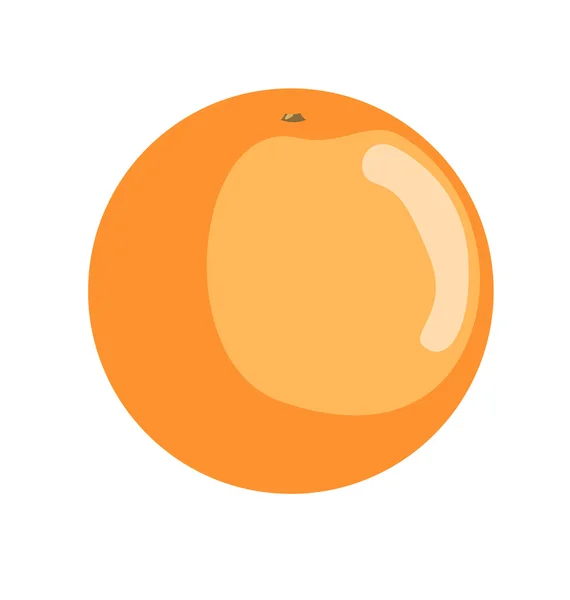 Vector naranja orgánico — Vector de stock