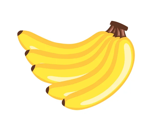 Kilka bananów wektor — Wektor stockowy