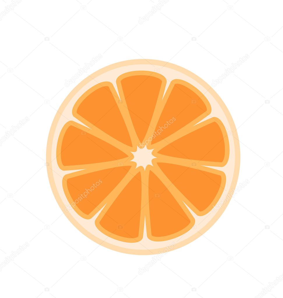 Half Orange Vector Stock Vector Image by ©baavli #127958934
