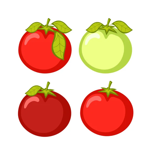 Vectores de tomates frescos — Vector de stock