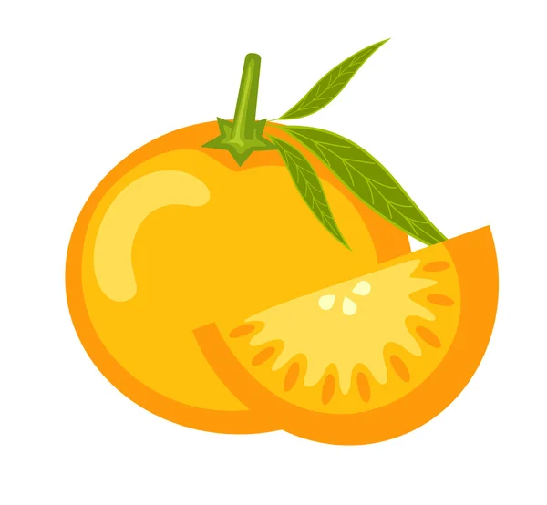 Fresh Orange Slice Vector — Stock vektor