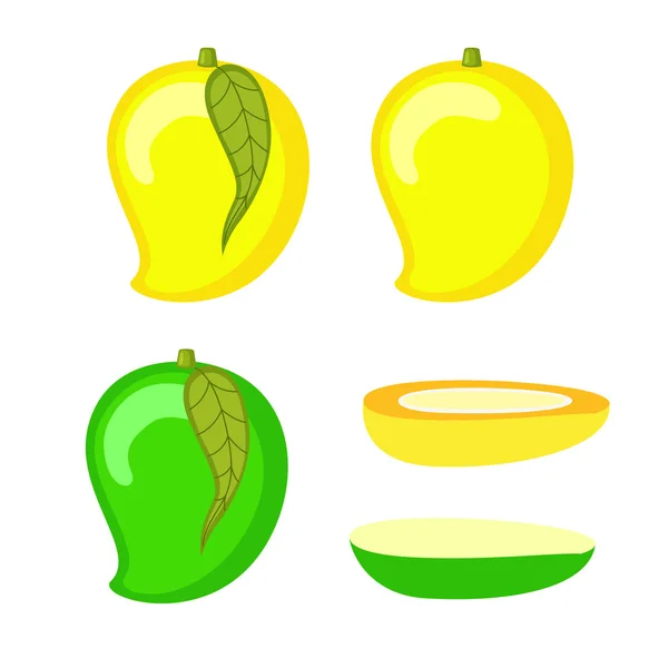 Mango Section Vector — Stock Vector