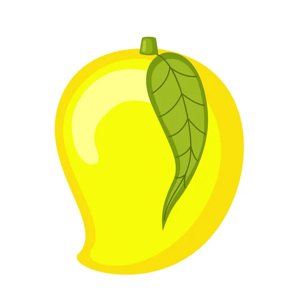 Frischer Mango-Vektor — Stockvektor