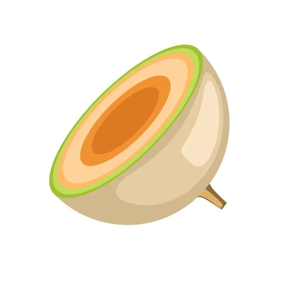 Saboroso Muskmelon Piece Vector — Vetor de Stock