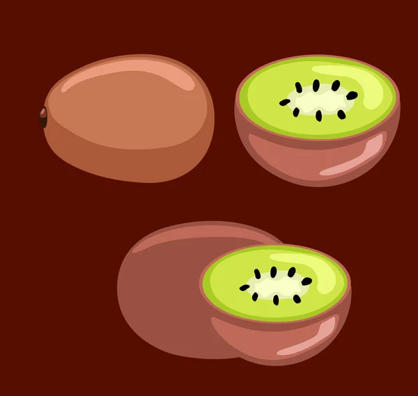 Kiwi Secciones de frutas Vector — Vector de stock