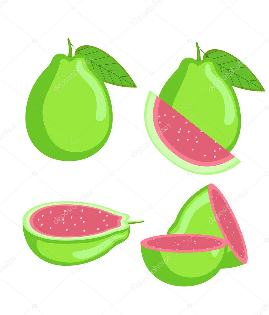 Guava Slices Vector