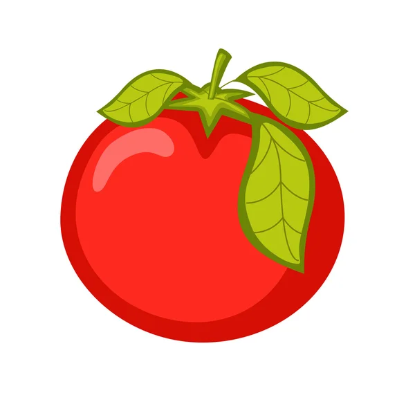 Vector de tomate maduro — Vector de stock