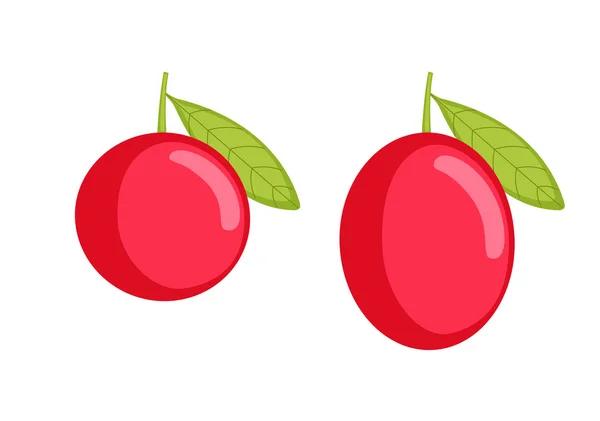 Red Cherries Vector — Stock Vector