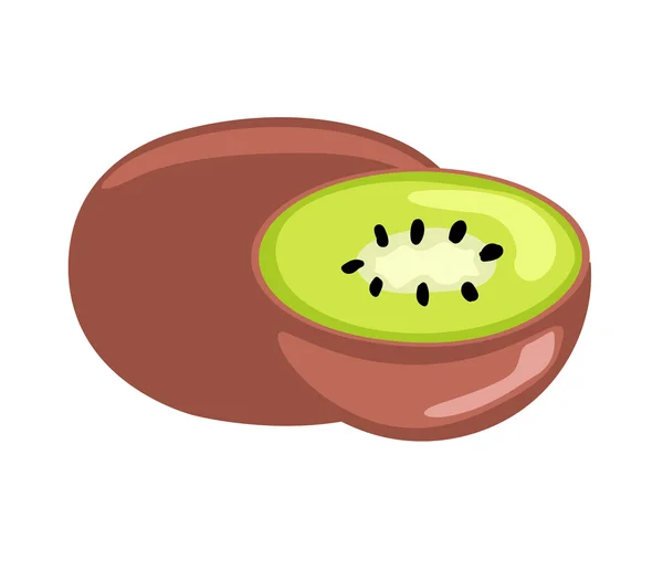Kiwi frukt vektor — Stock vektor