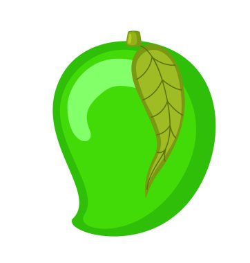 Yeşil Mango vektör