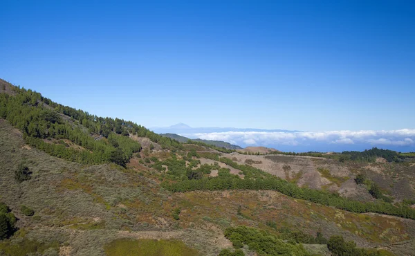 Gran canaria central — Fotografia de Stock