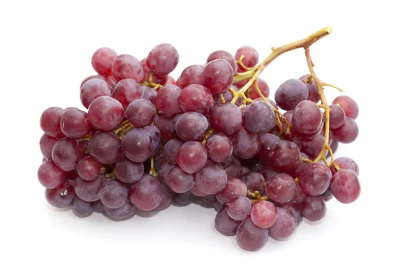 Clusters or purple grapes — Stock Photo, Image