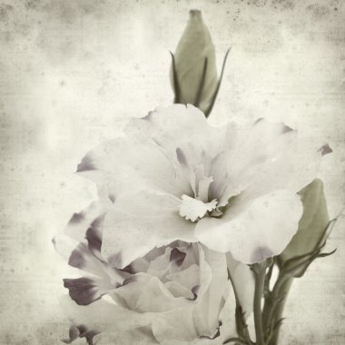 desenli eski kağıt arkaplan  