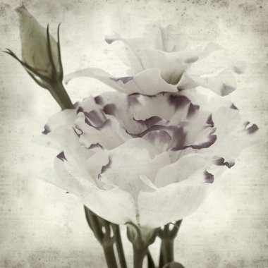 desenli eski kağıt arkaplan  