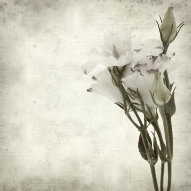 desenli eski kağıt arkaplan  