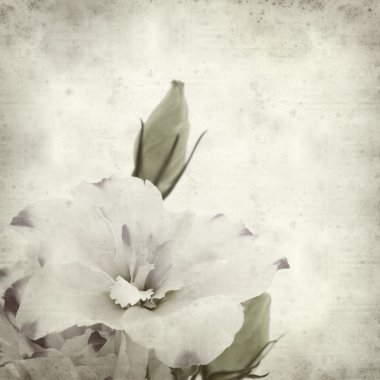 desenli eski kağıt arkaplan  