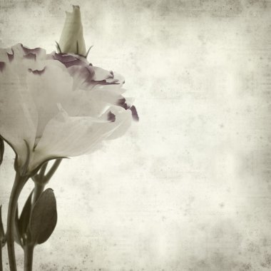 desenli eski kağıt arkaplan  