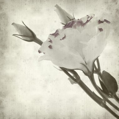 desenli eski kağıt arkaplan  