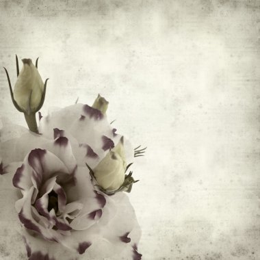 desenli eski kağıt arkaplan  