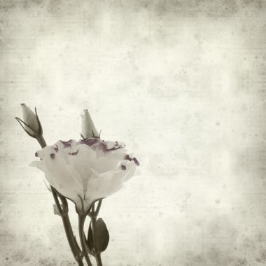 desenli eski kağıt arkaplan  