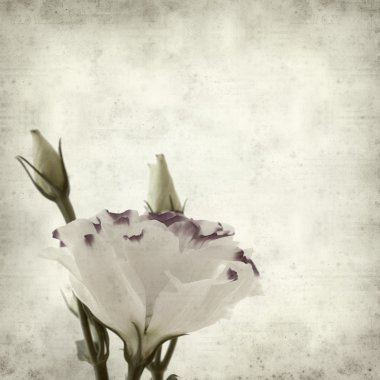 desenli eski kağıt arkaplan  