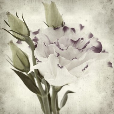 desenli eski kağıt arkaplan  