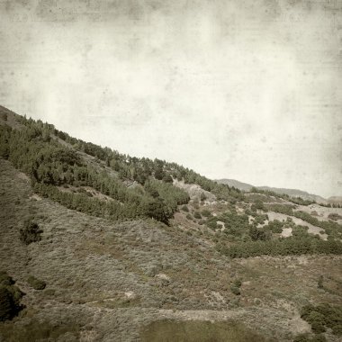 desenli eski kağıt arkaplan  