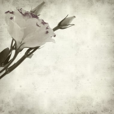 desenli eski kağıt arkaplan  