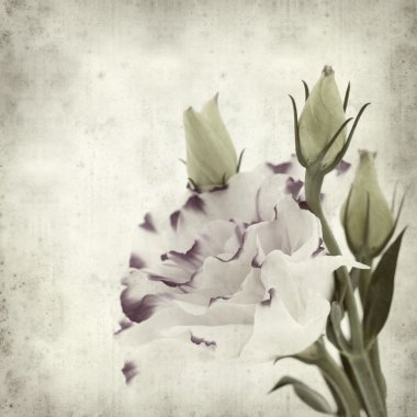 desenli eski kağıt arkaplan  