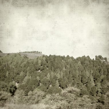 desenli eski kağıt arkaplan  