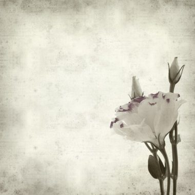 desenli eski kağıt arkaplan  