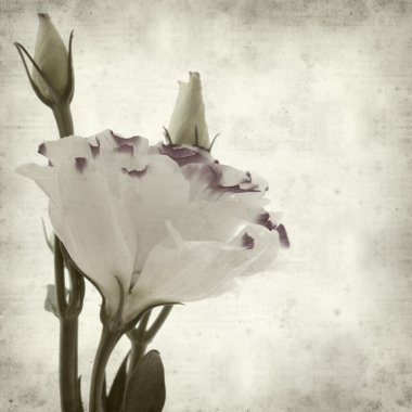 desenli eski kağıt arkaplan  