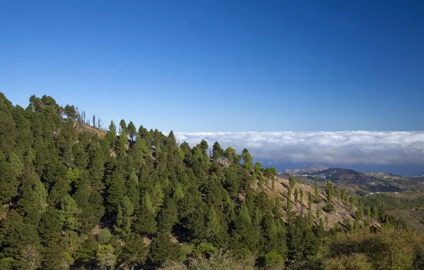 Gran canaria central — Fotografia de Stock