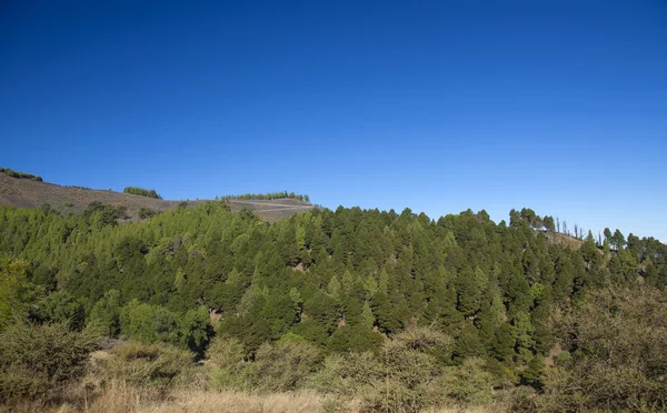 Centro de Gran Canaria —  Fotos de Stock