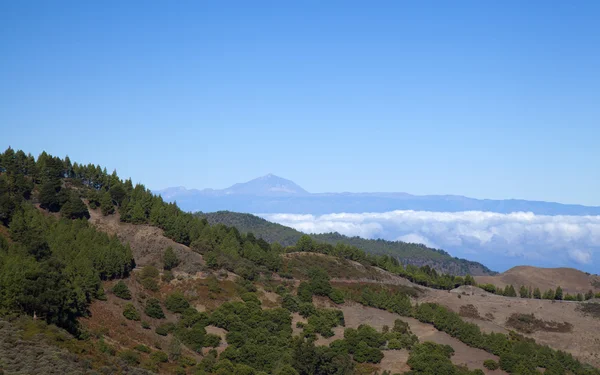 Środkowa Gran Canaria — Zdjęcie stockowe