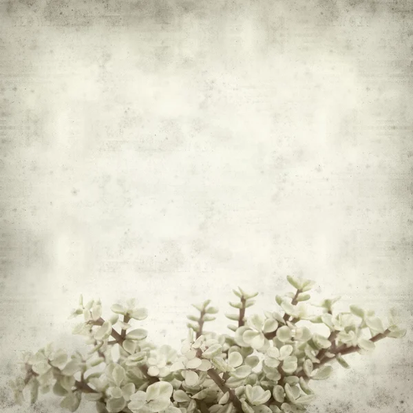 Textured old paper background — Stock Photo, Image