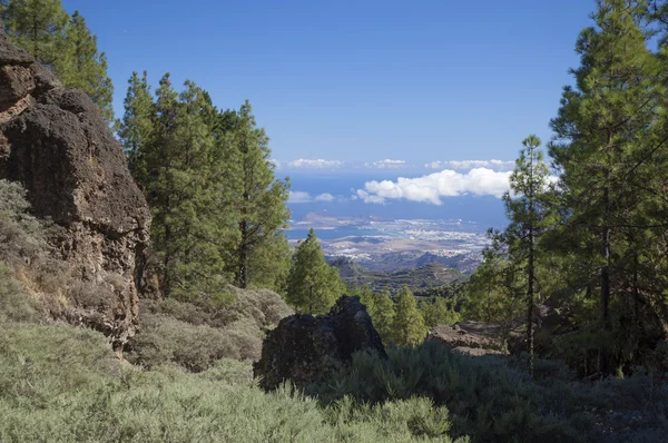 Gran Canaria, hiking path Cruz de Tejeda - Teror — Zdjęcie stockowe