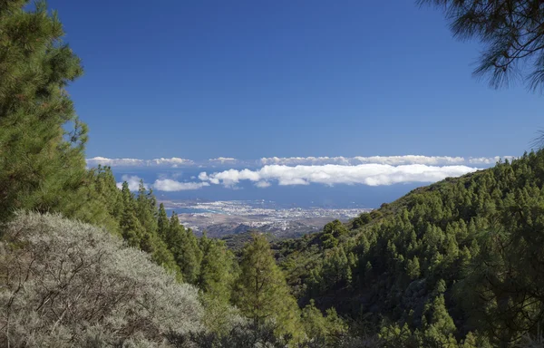 Gran Canaria, hiking path Cruz de Tejeda - Teror — 图库照片