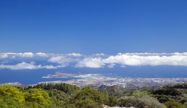 Gran Canaria, hiking path Cruz de Tejeda - Teror — Stock Photo, Image