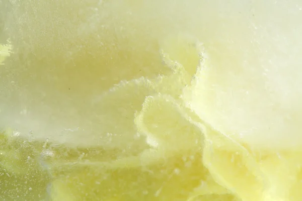 frozen flora - yellow carnation