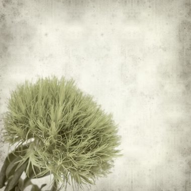 desenli eski kağıt arkaplan  