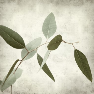 desenli eski kağıt arkaplan  