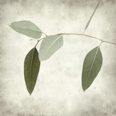 desenli eski kağıt arkaplan  