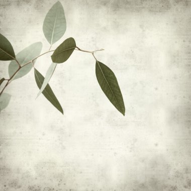 desenli eski kağıt arkaplan  