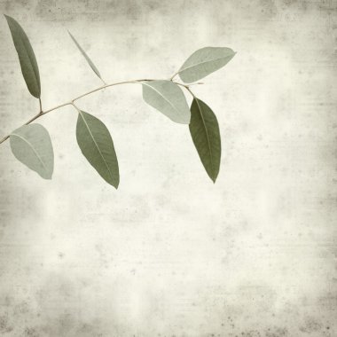 desenli eski kağıt arkaplan  