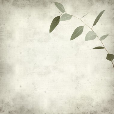 desenli eski kağıt arkaplan  