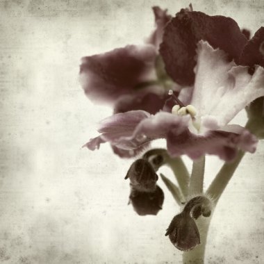 desenli eski kağıt arkaplan  