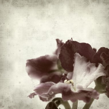 desenli eski kağıt arkaplan  