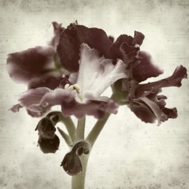 desenli eski kağıt arkaplan  