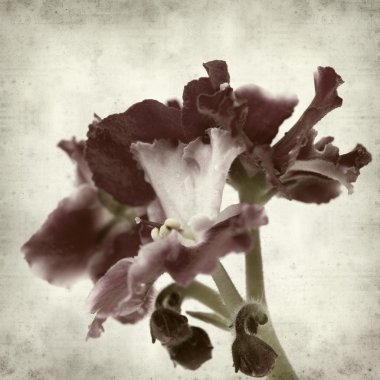 desenli eski kağıt arkaplan  